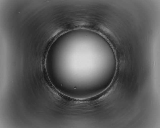 X0000088131305200705211107