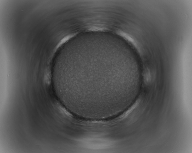 X0000088131306200705211107