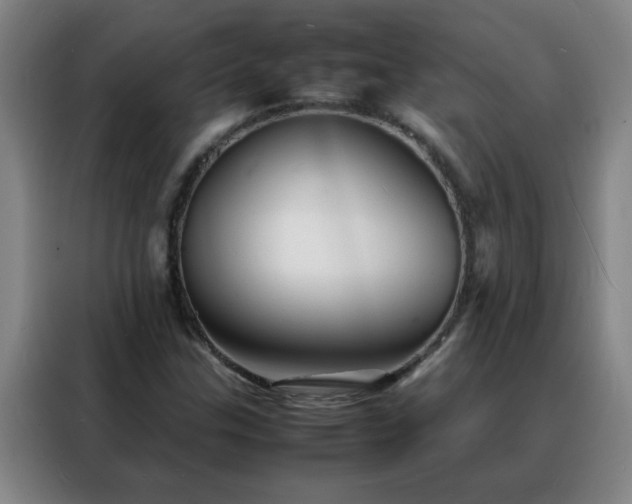 X0000088131307200705211107