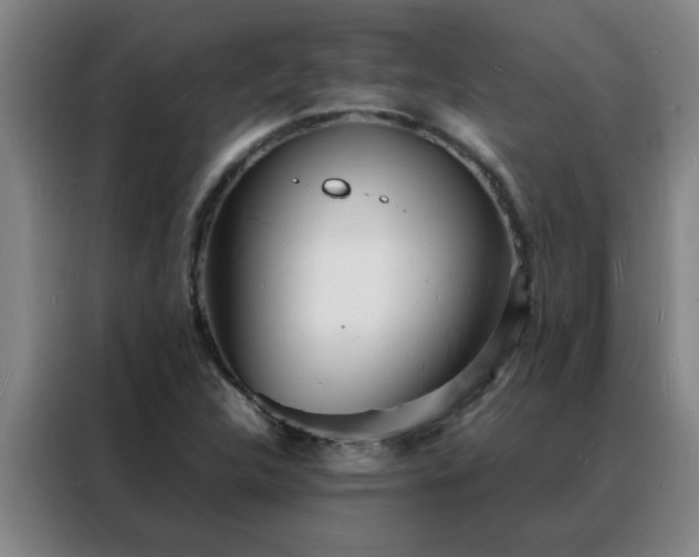 X0000088131312200705211107