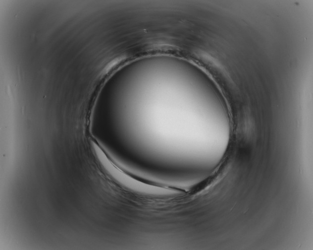 X0000088131313200705211107