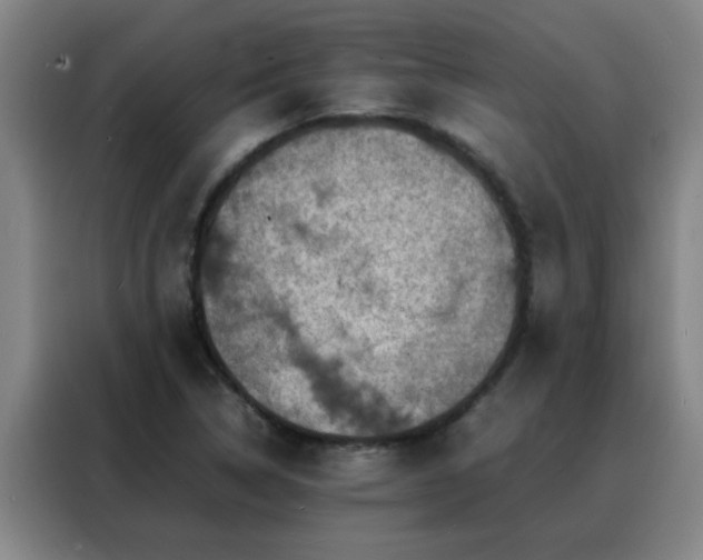 X0000088131314200705211108