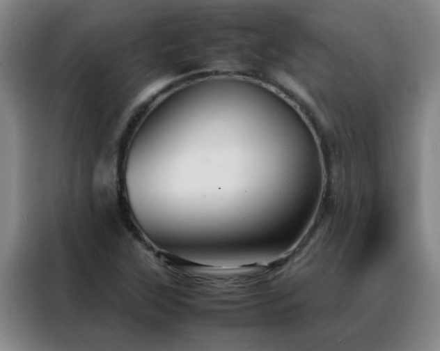 X0000088131315200705211108