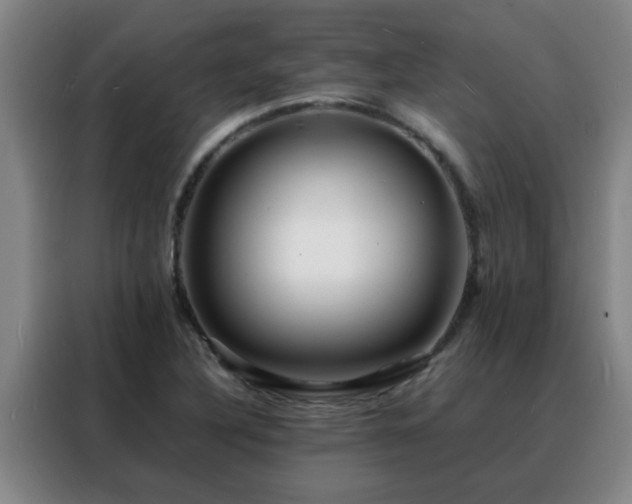 X0000088131316200705211108