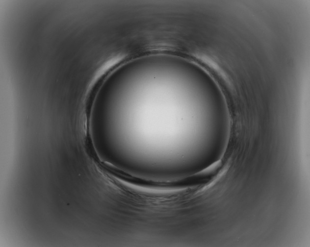 X0000088131317200705211108