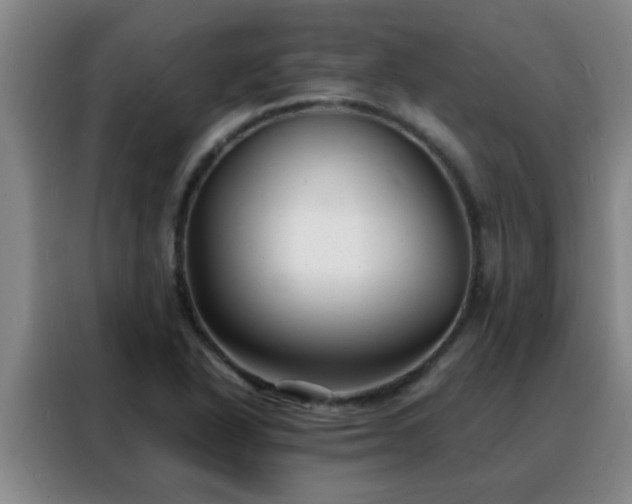 X0000088131318200705211108