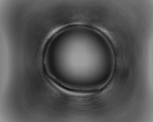 X0000088131319200705211108