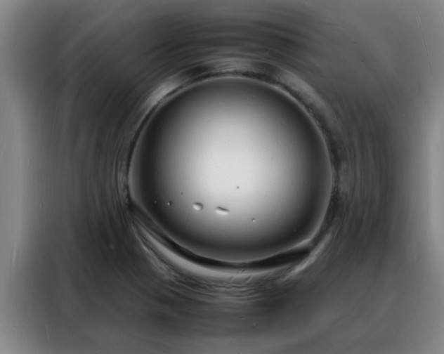 X0000088131321200705211108