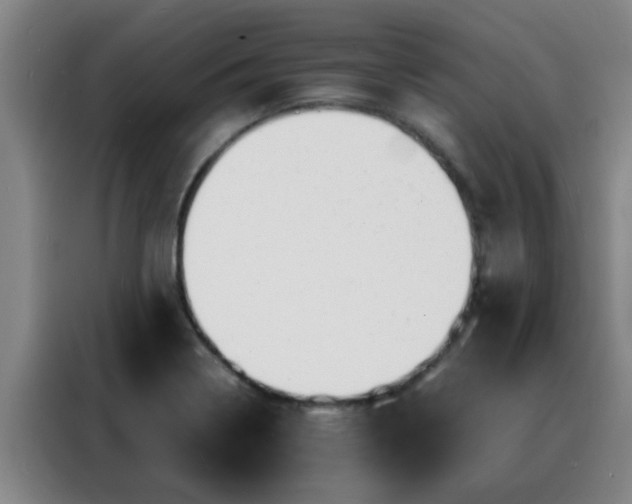 X0000088131322200705211108