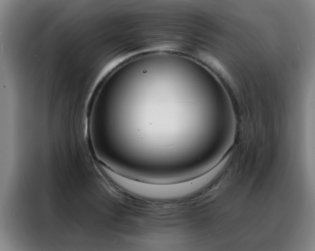 X0000088131324200705211108