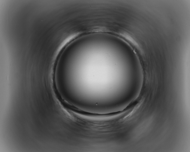 X0000088131325200705211108