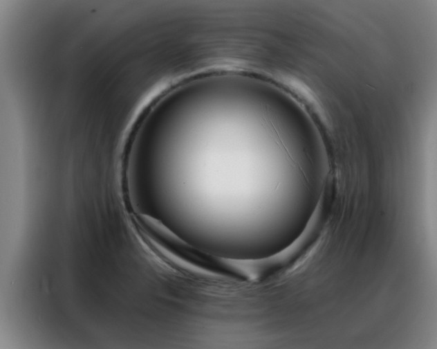 X0000088131326200705211108