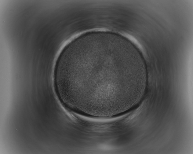 X0000088131327200705211108