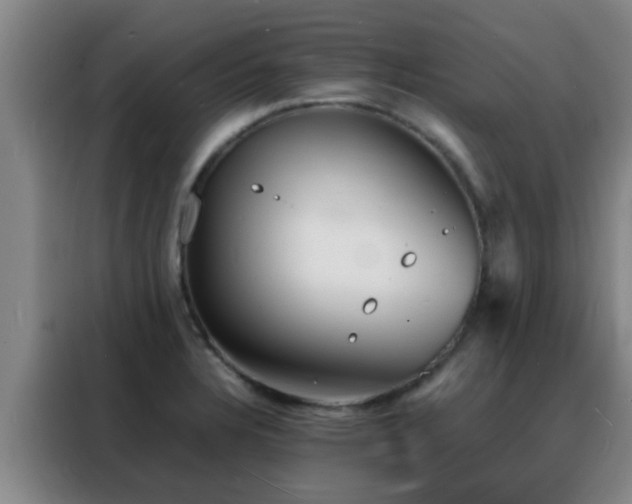 X0000088131328200705211108