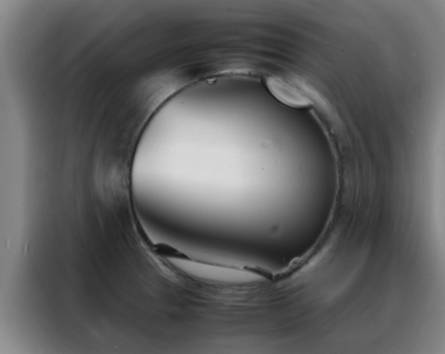 X0000088131329200705211108