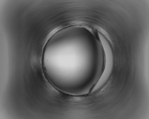 X0000088131330200705211108