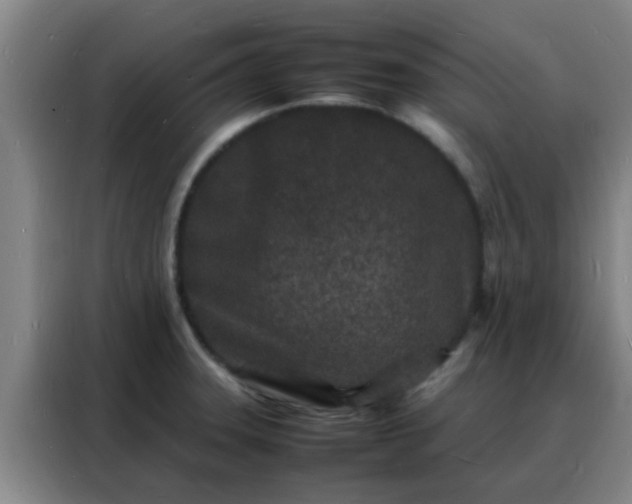 X0000088131331200705211108