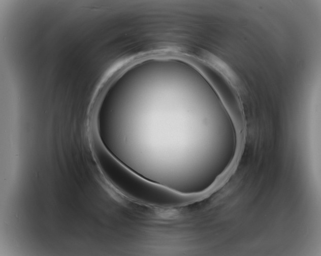 X0000088131332200705211108