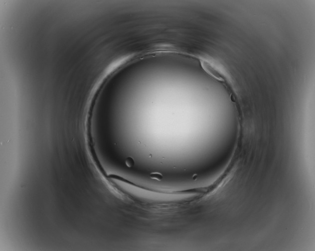 X0000088131333200705211108