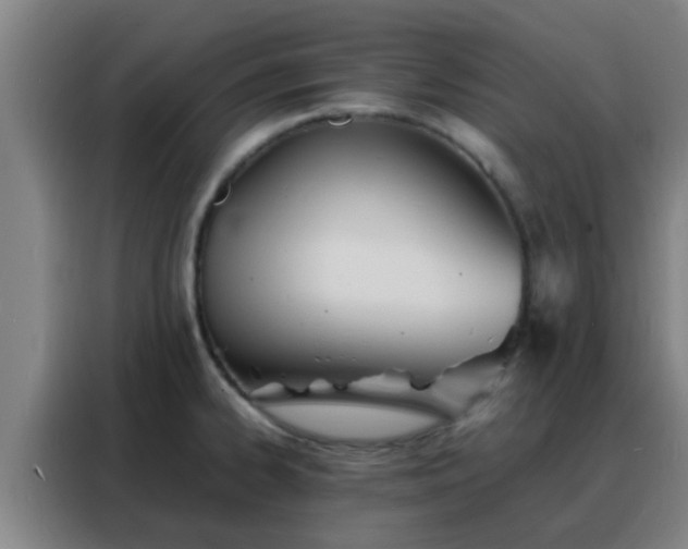 X0000088131334200705211108