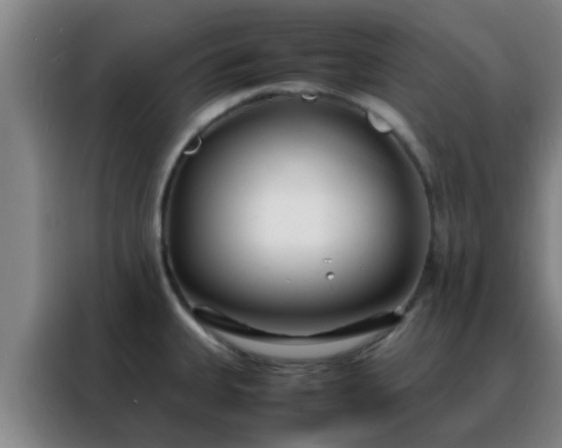 X0000088131335200705211108