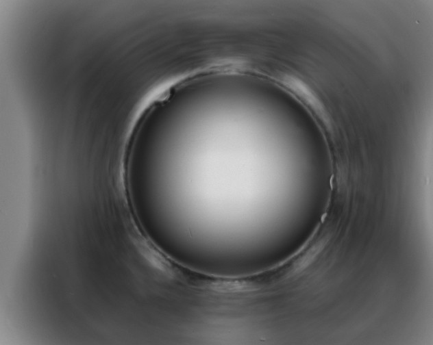 X0000088131336200705211108