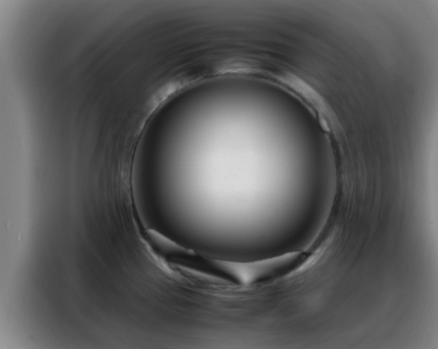 X0000088131337200705211108