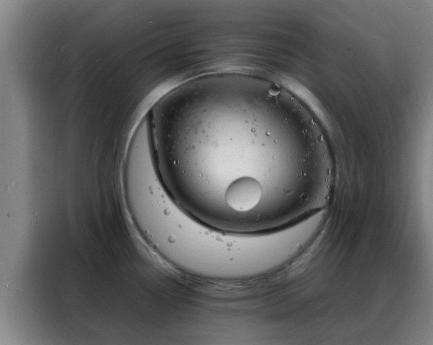 X0000088131338200705211108