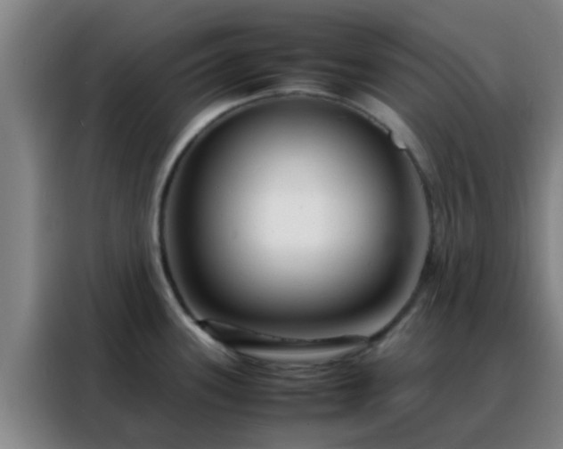 X0000088131339200705211108