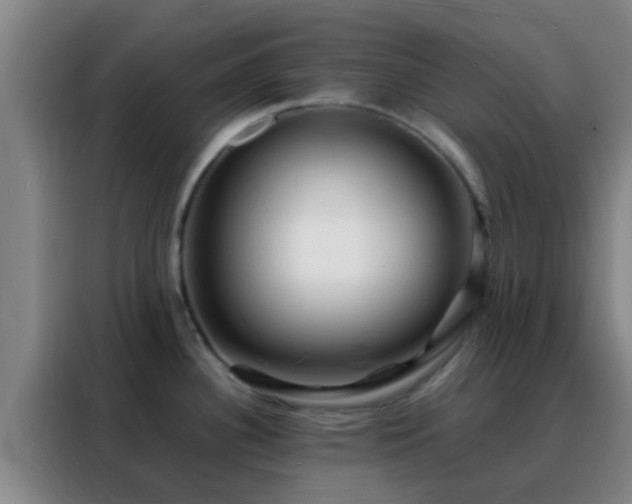 X0000088131340200705211108