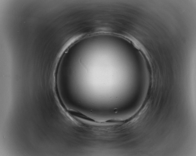 X0000088131341200705211108