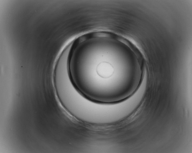 X0000088131342200705211108