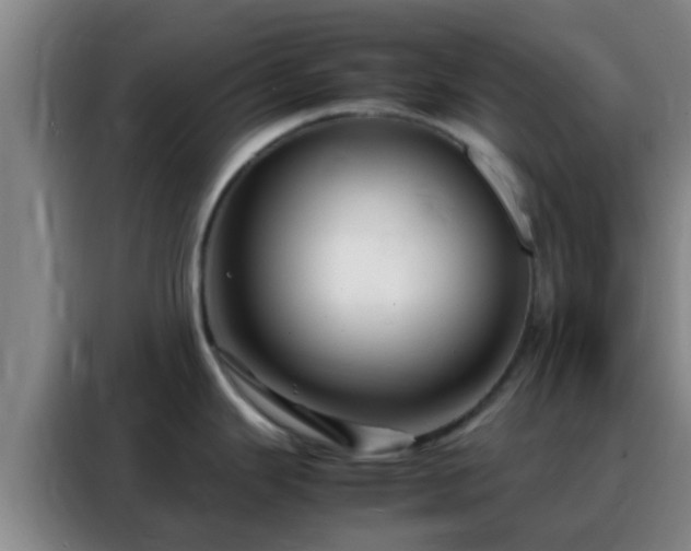 X0000088131343200705211108