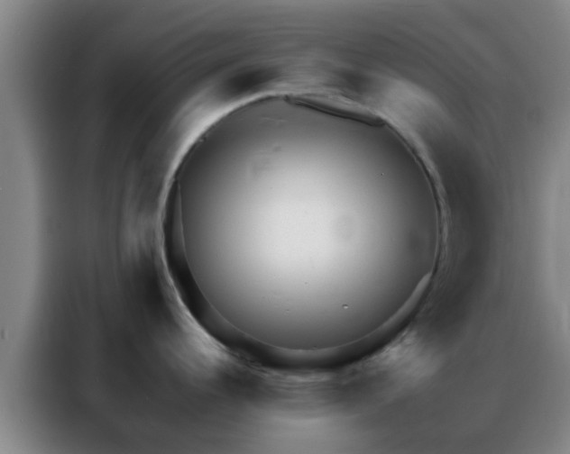 X0000088131344200705211108