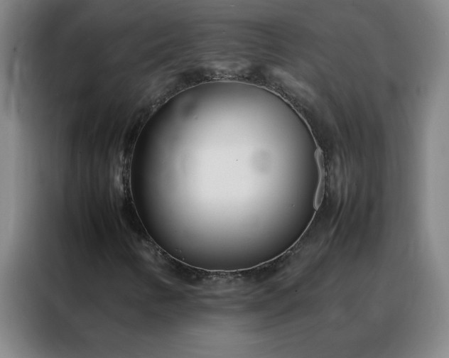 X0000088131346200705211107