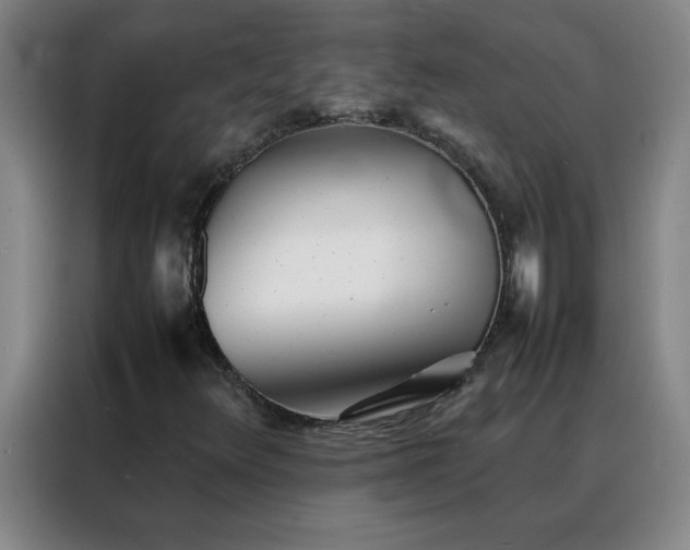 X0000088131348200705211107