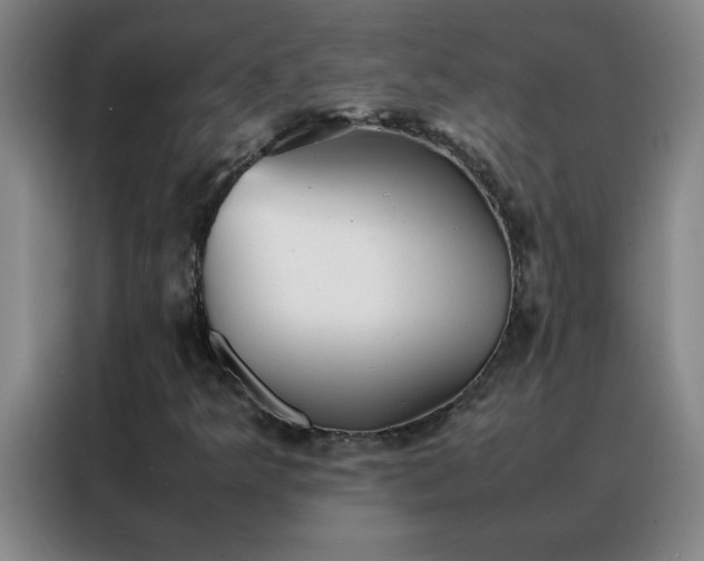 X0000088131349200705211107