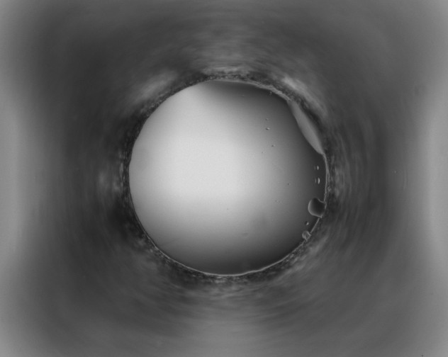 X0000088131350200705211107