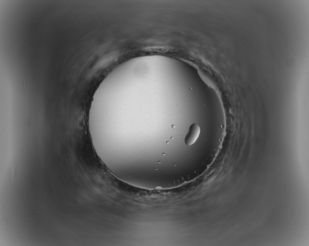 X0000088131351200705211107