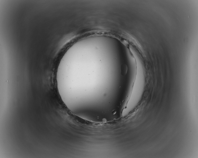 X0000088131352200705211107