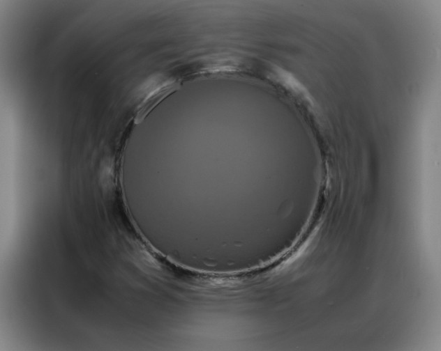 X0000088131353200705211107