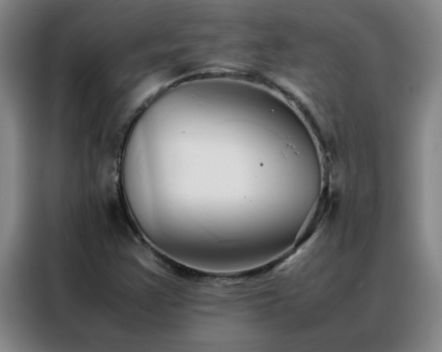 X0000088131355200705211107