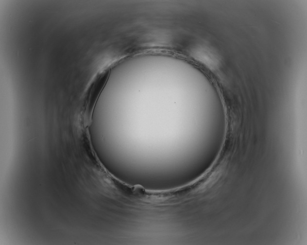 X0000088131357200705211107