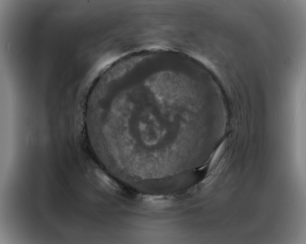 X0000088131359200705211107