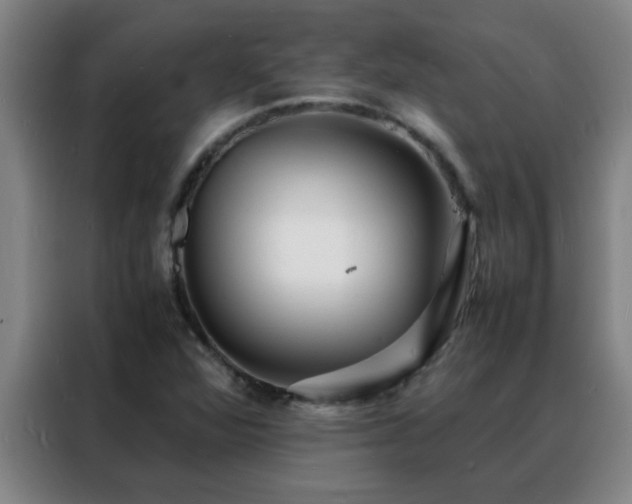 X0000088131360200705211107