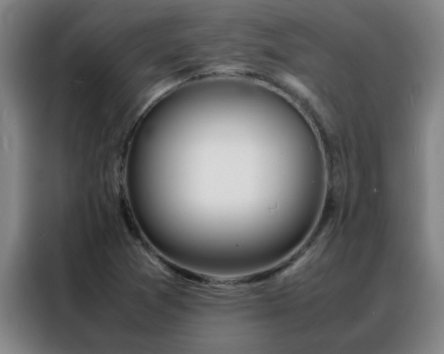 X0000088131361200705211107