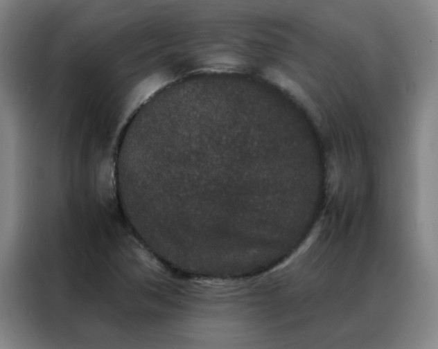 X0000088131362200705211107