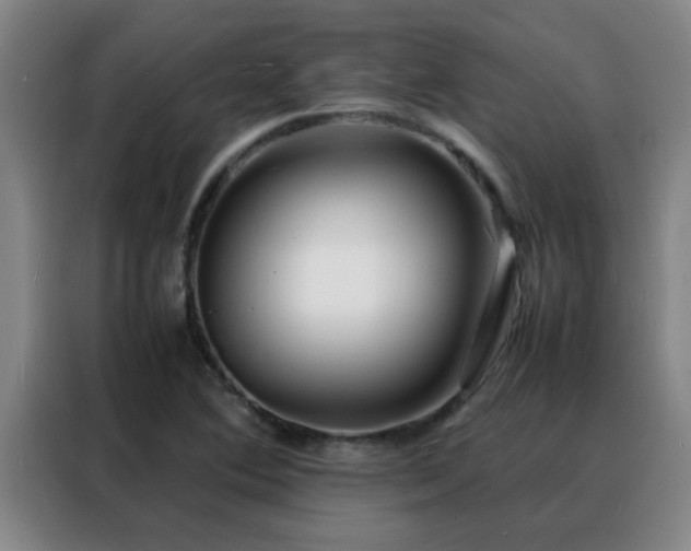 X0000088131364200705211107