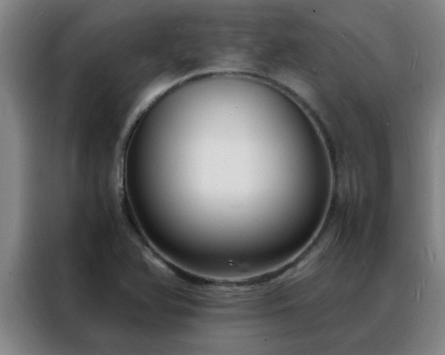 X0000088131366200705211107