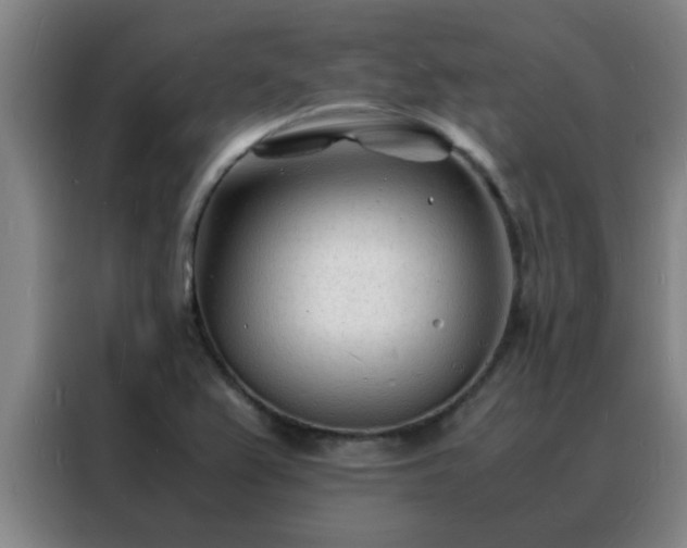 X0000088131367200705211107
